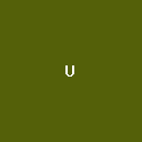 U一点
