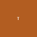 TT98壁纸