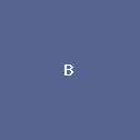 论文阅读(BETA)