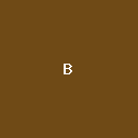 brushes8