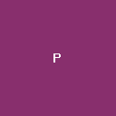 普瑞PPT