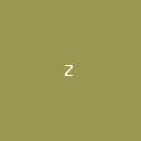 ZUI