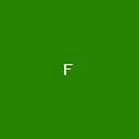 Foundation
