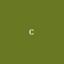 C1N短网址